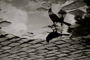 The mirror by DancingwithDeers