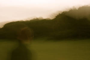 Walk in the park by DancingwithDeers