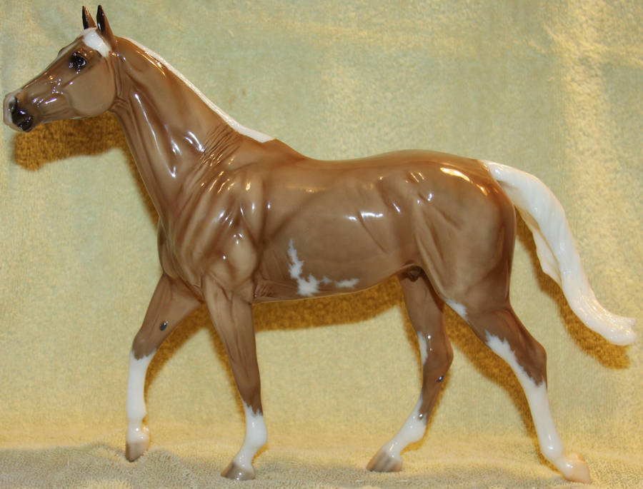 Breyer - Carrick - Stock 1 by Lovely-DreamCatcher