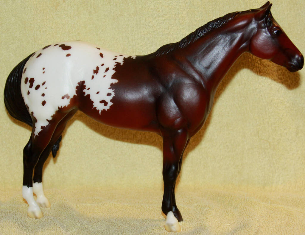 Breyer - Sonsela - Stock by Lovely-DreamCatcher
