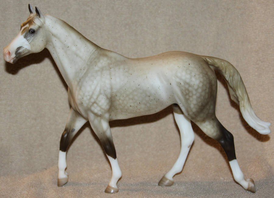 Breyer - Caipirinha - Stock by Lovely-DreamCatcher