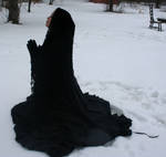 Cold Victorian Li 56 by Falln-Stock