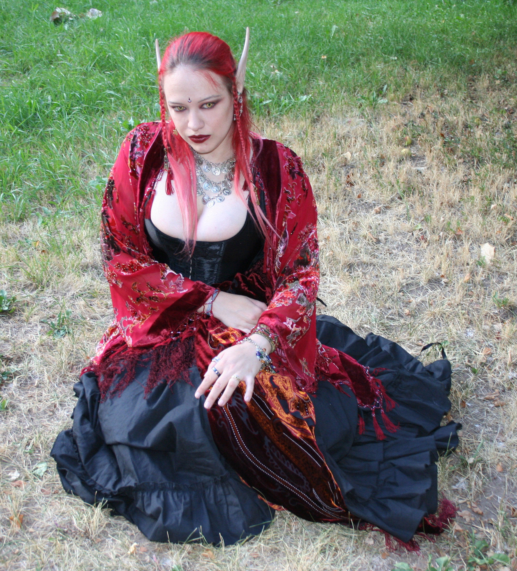 Gypsy Elf Li 57 by Falln-Stock