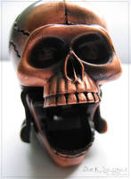 skull by BlackSeszen