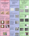 Tutorial: Shading and Blending by Cataclysm-X