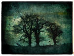 Three Trees Textured by struckdumb