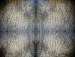 Cracked ii by struckdumb
