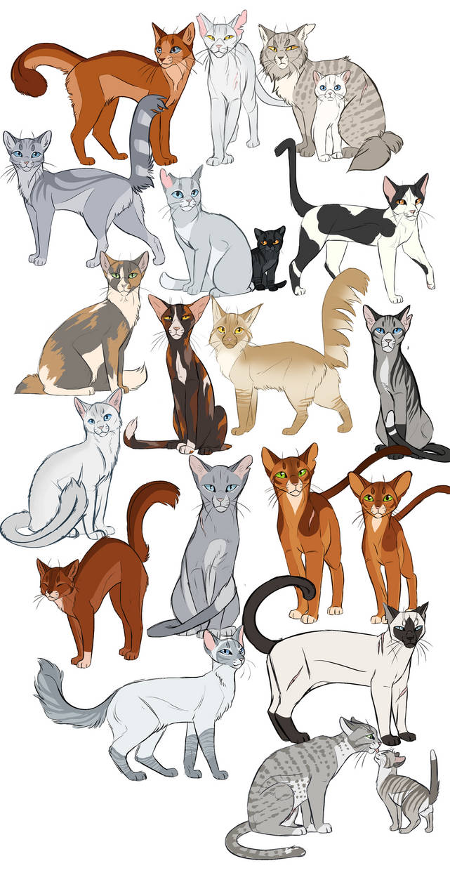 Tumblr Warrior Cats By ClimbToTheStars On DeviantArt
