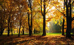 Goodbye Autumn by hquer