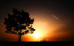 Sunrise by hquer