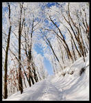Dazzling White by hquer