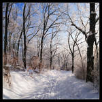 Snow Path by hquer