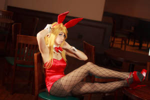Bunny Panty Cosplay by firecloak