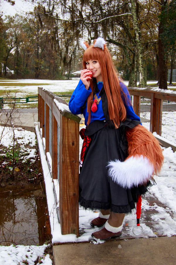 Holo, Harvest God, Spice and Wolf Cosplay by firecloak
