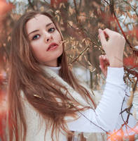 white swan II by Nocturny