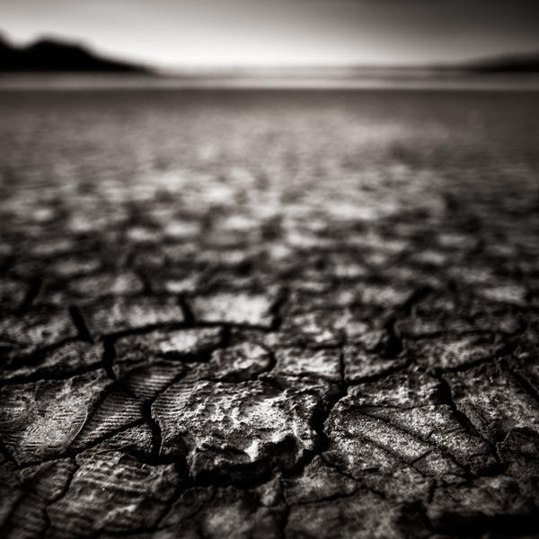 Desert by xavierrey