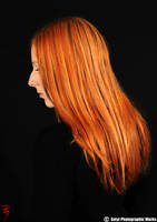 Orange by Ravage-Satyr