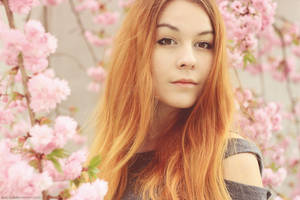 Sakura by Kva-Kva Sakura by Kva-Kva