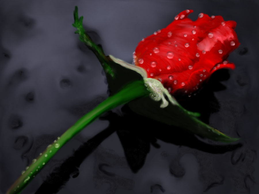Rose by Sadict
