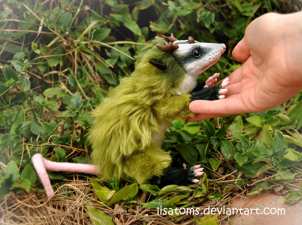 Possum forest spirit by LisaToms