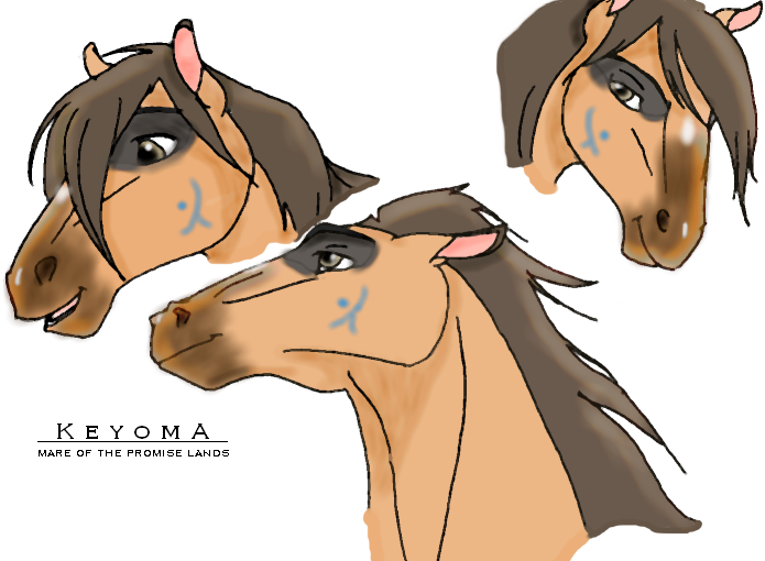 : k e y o m a m a r e : by SaddlePatch