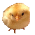Chick Emoticon