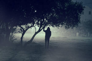 the mist by davidvelezfotografia