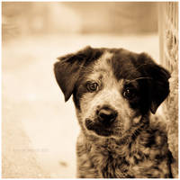 Hey Don't Forget Me by kkart