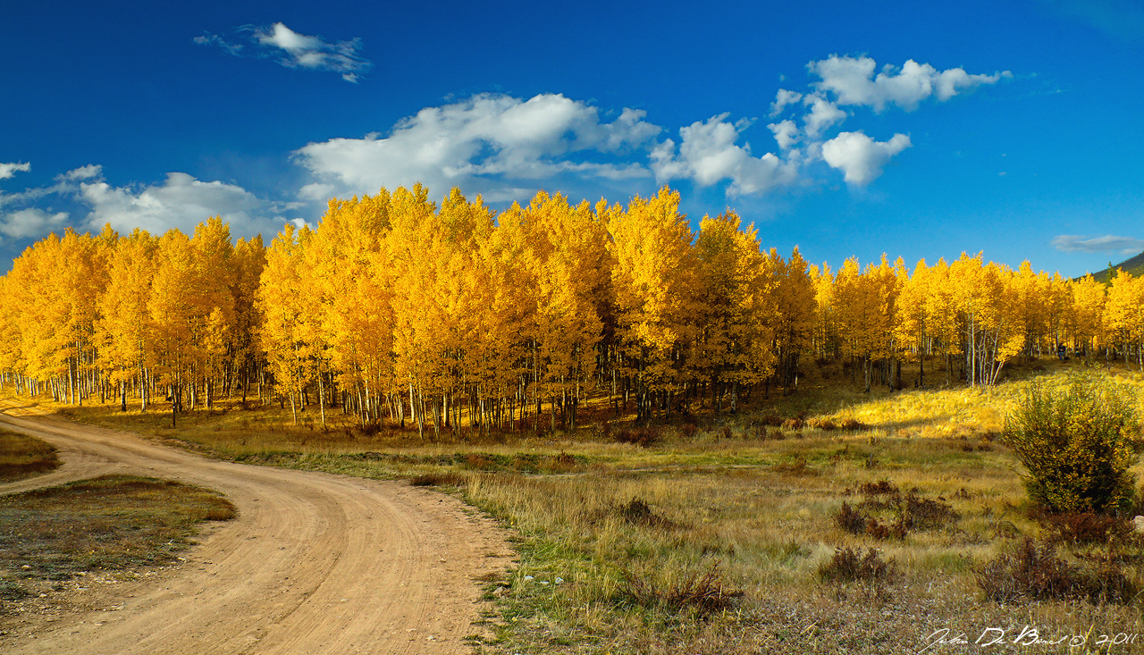 Fall Rural Roads by kkart