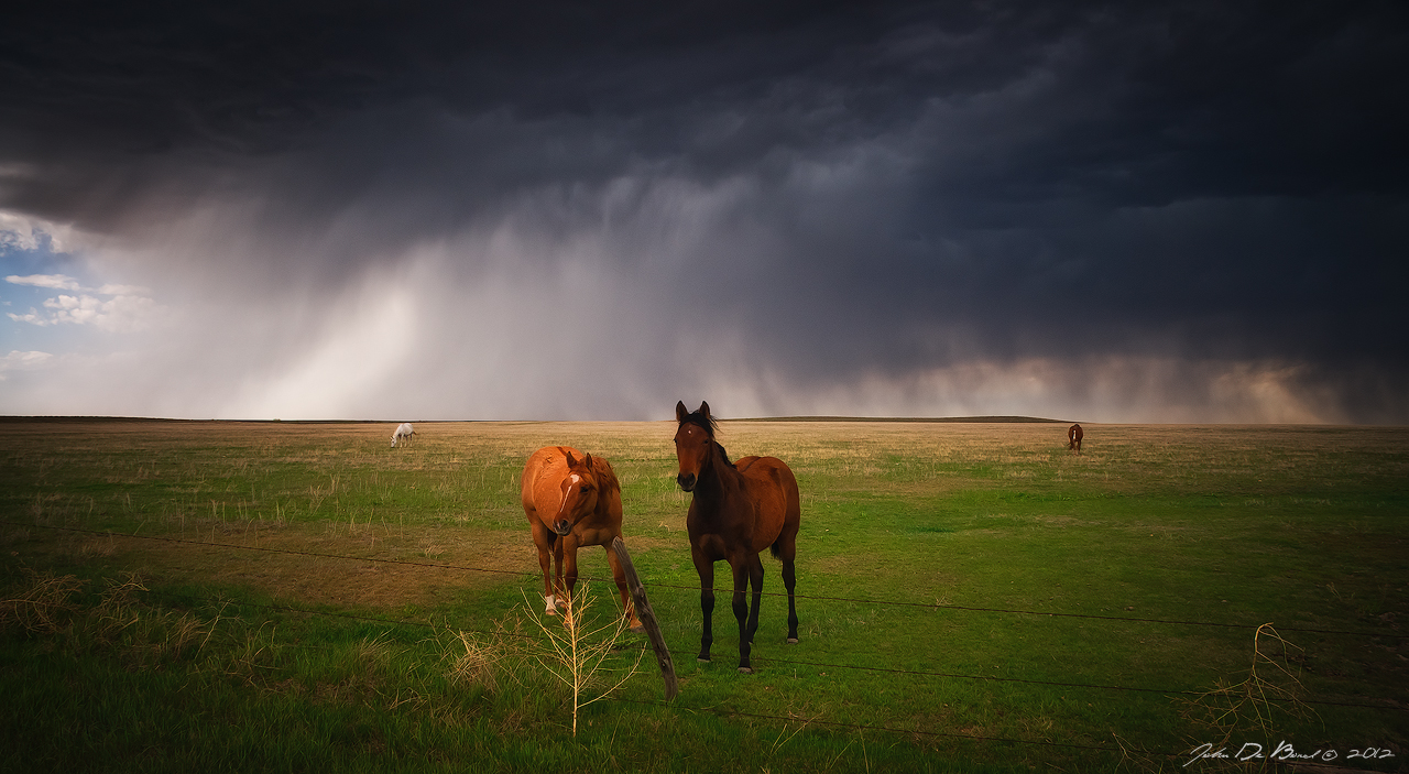 Horses In The Storm by kkart