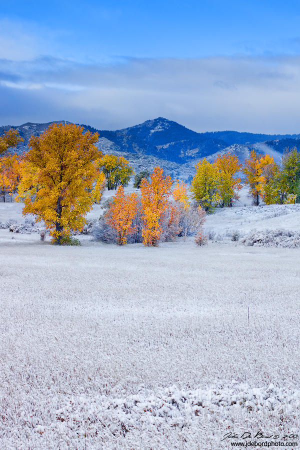 A Seasons Colors by kkart