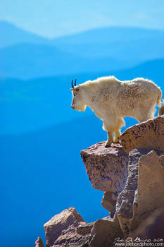 Living On The Edge by kkart