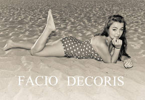 50's Beach Scene by faciodecoris