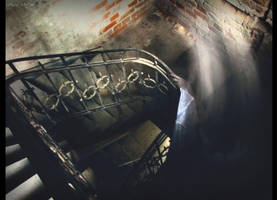 From Death To Birth II by AncaMitroi