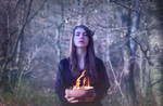 Black Magic - Black Winter Day by AncaMitroi