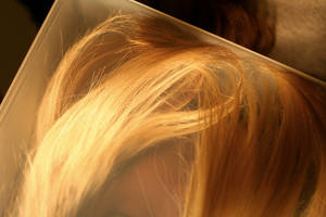 Box Project 2 by photographygirl