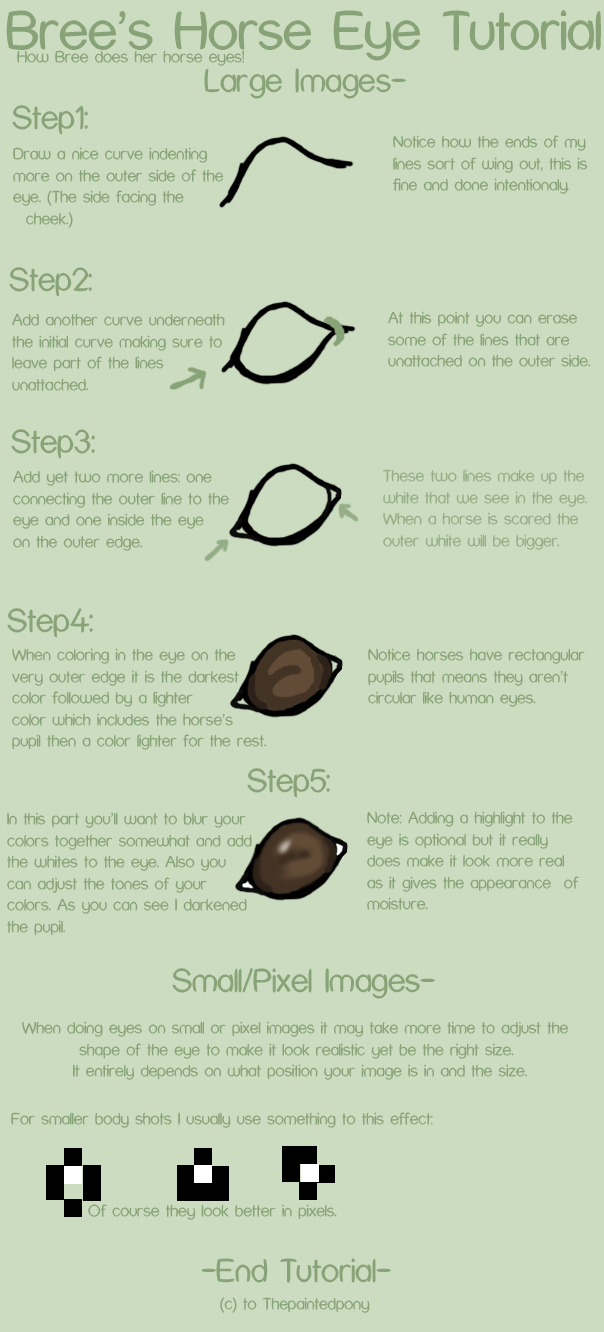 Horse Eye Tutorial by Thepaintedpony