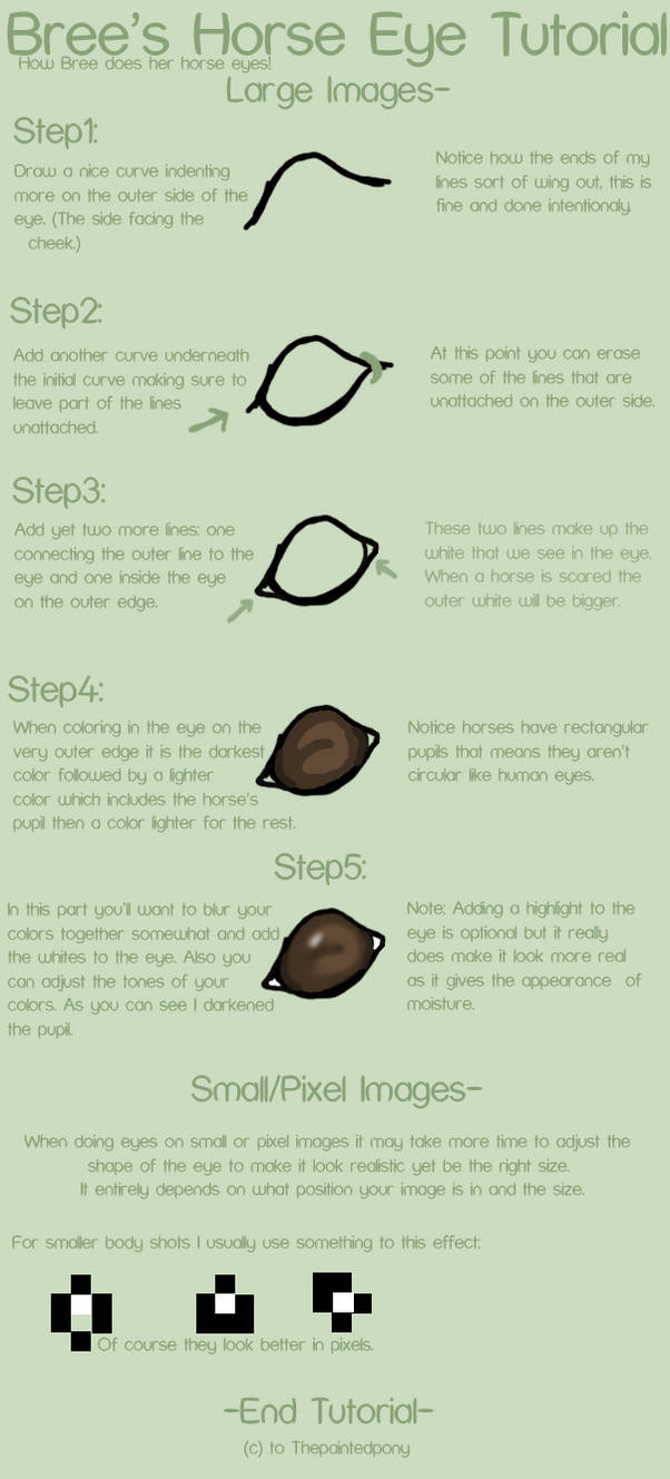 Horse Eye Tutorial by Thepaintedpony