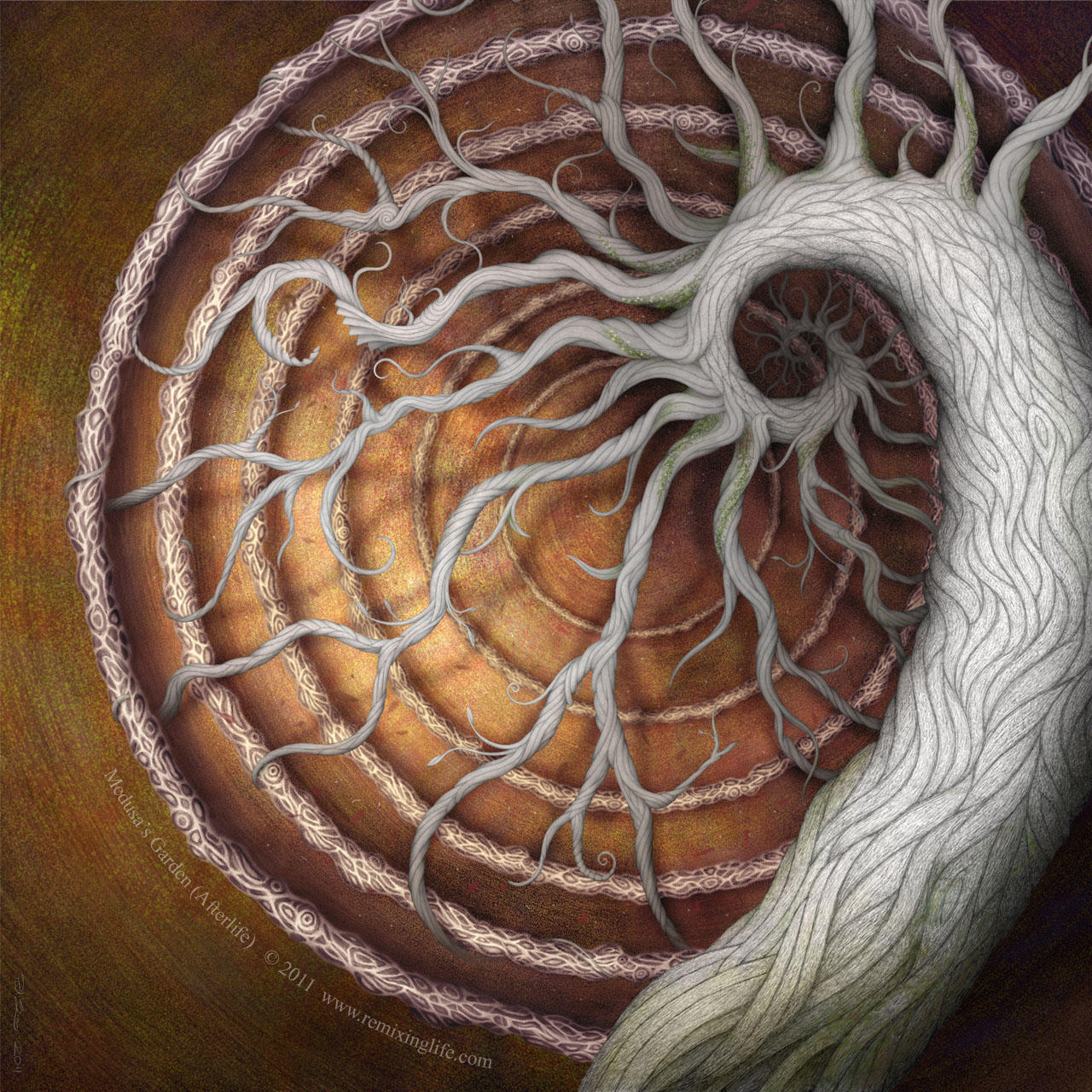 Medusa's Garden: Afterlife by micronomicon