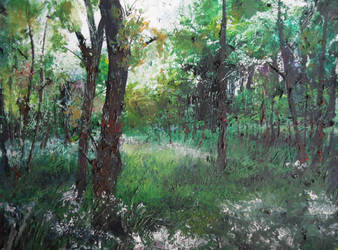 Forest by alhopwood