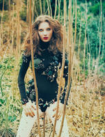 Fairytale 8 by hakanphotography