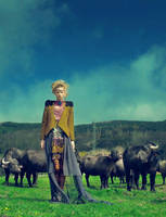 Village Roadshow 4 by hakanphotography