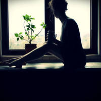 scenic world by kistoc