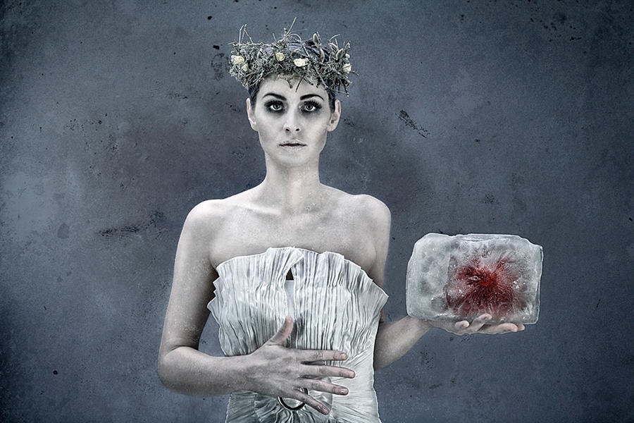 Transplant by Nicolas-Henri