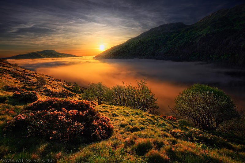 Precious Moments by MaximeCourty
