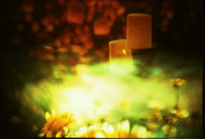 A dream that comes true by DomyBlue