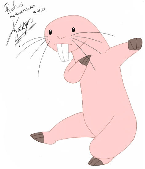 Rufus the naked mole rat photo 26