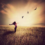 freeling by arayo