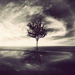 Soul Tree by arayo