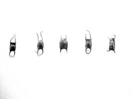 Witch Babies by BreathingIndigo